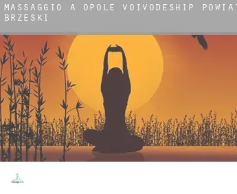Massaggio a  Powiat brzeski (Opole Voivodeship)