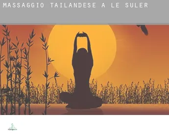 Massaggio tailandese a Le Suler