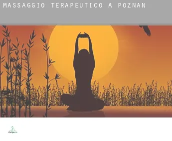 Massaggio terapeutico a  Poznań
