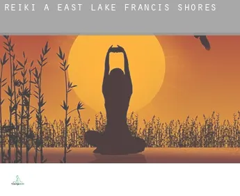 Reiki a  East Lake Francis Shores