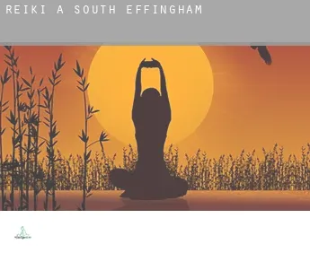 Reiki a  South Effingham