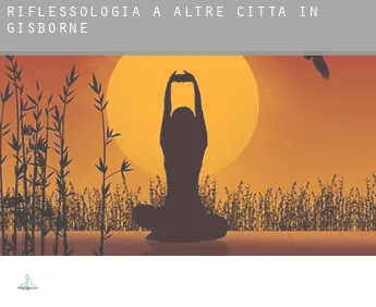 Riflessologia a  Altre città in Gisborne