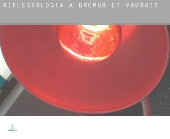 Riflessologia a  Brémur-et-Vaurois