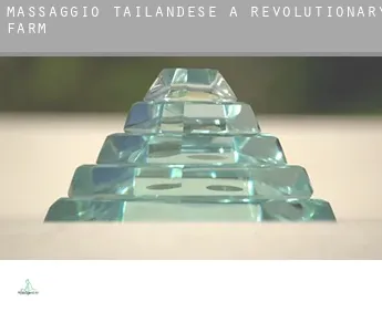 Massaggio tailandese a  Revolutionary Farm