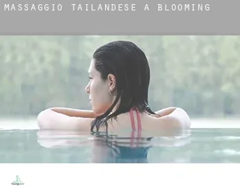 Massaggio tailandese a  Blooming