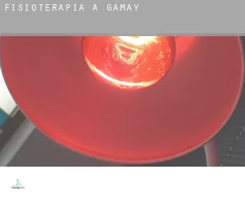 Fisioterapia a  Gamay