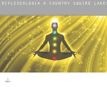 Riflessologia a  Country Squire Lakes