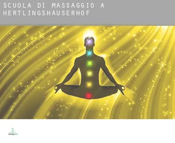 Scuola di massaggio a  Hertlingshäuserhof
