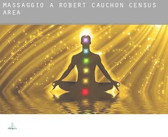 Massaggio a  Robert-Cauchon (census area)