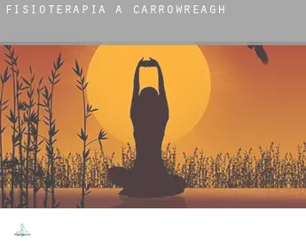 Fisioterapia a  Carrowreagh