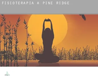 Fisioterapia a Pine Ridge