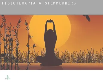 Fisioterapia a Stemmerberg