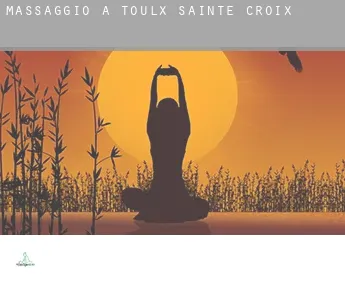 Massaggio a  Toulx-Sainte-Croix