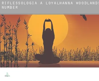 Riflessologia a  Loyalhanna Woodlands Number 2