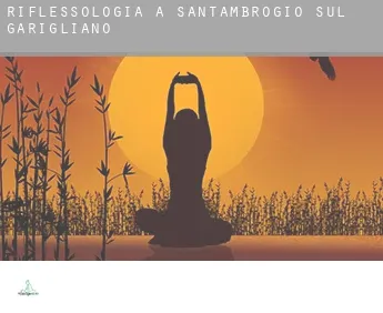 Riflessologia a  Sant'Ambrogio sul Garigliano